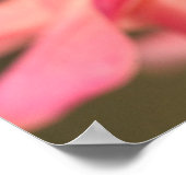 Poster Mimique Du Papillon Monarque (Coin)