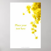 Poster Mimosa (Devant)