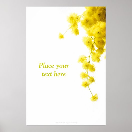 Poster Mimosa (Devant)