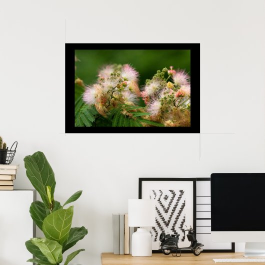 Poster Mimosa Blossoms (Bureau à domicile)