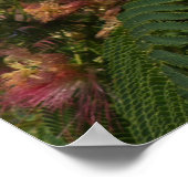 Poster Mimosa-boom (Hoek)