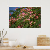 Poster Mimosa-boom (Keuken)