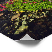 Poster Mimulus de Logan Pass dans le parc national de Gla (Coin)