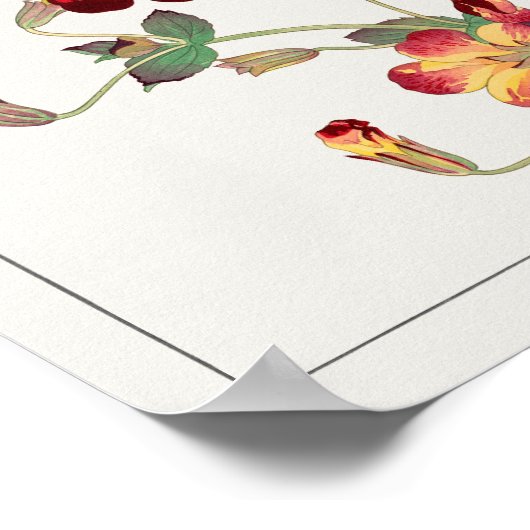 Poster Mimulus luteus par Tanigami Konan (Coin)