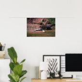 Poster Mince avec petit poisson (Bureau à domicile)