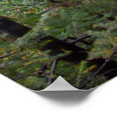 Poster Miner's Falls, Michigan (Coin)