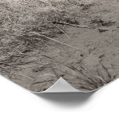 Poster Miner's Shack - Comet Ghost Mine - Montana (Coin)