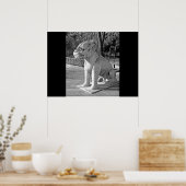 Poster Ming Tombs Dragon B&W (Cuisine)