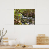 Poster Mingus Creek at Smoky Mountains (Cuisine)