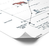 Poster Mini-affiche de l'évaluation des risques équins (Coin)