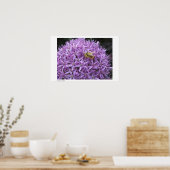 Poster Mini Bumble Bee sur Allium (Cuisine)