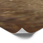 Poster Mini Filly bleu (Coin)