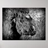 Poster Mini Filly Être Onery (Devant)