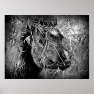 Poster Mini Filly Être Onery