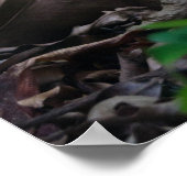 Poster Mini Forêt (Coin)