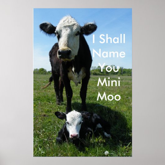 Poster Mini-Moo (Devant)