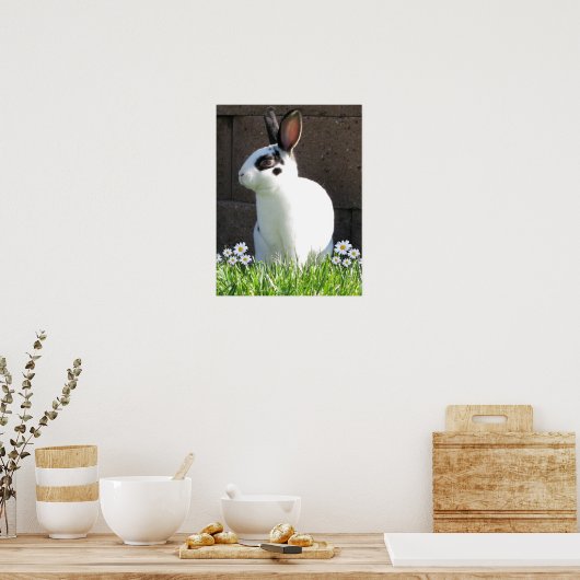 Poster Mini rex avec marguerites (Cuisine)