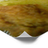 Poster Mini sandwichs jambon-fromage (Coin)