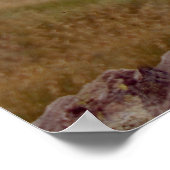 Poster Mini Schnauzer (Coin)