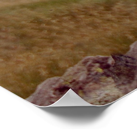 Poster Mini Schnauzer (Coin)