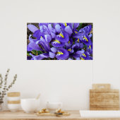 Poster Miniature Bleu Irises Printemps Floral (Cuisine)