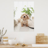 Poster Miniature Dachshund (Cuisine)