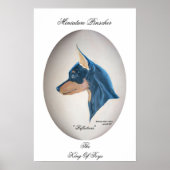 Poster Miniature de Pinscher (Devant)