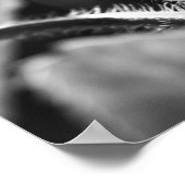 Poster Miniature Mantis (Coin)