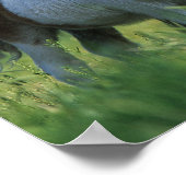 Poster Miniature Mare & Foies 2 (Coin)