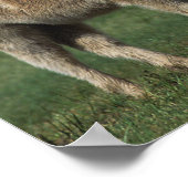 Poster Miniature Mare & Foies 3 (Coin)