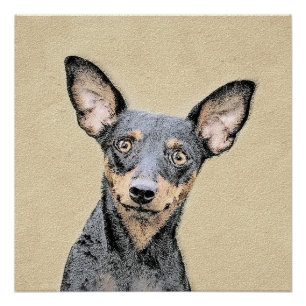 Poster Miniature Pinscher Peinture mignonne Chien Art ori