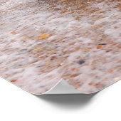 Poster Miniature Schnauzer in the Sea (Coin)