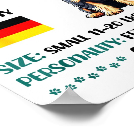 Poster Miniature Schnauzer Origin Funny Mini Schnauzer Lo (Coin)