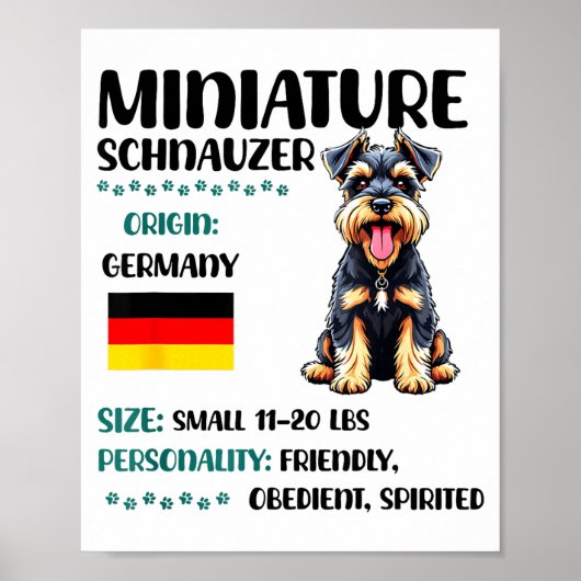 Poster Miniature Schnauzer Origin Funny Mini Schnauzer Lo (Devant)