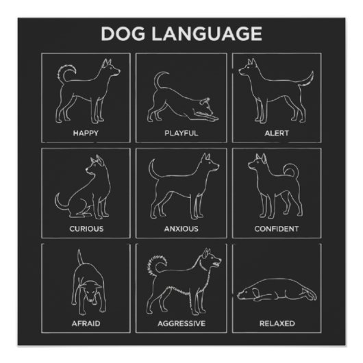 Poster Minimalist Dog Body Language & Behavior Chart (Devant)