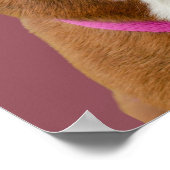 Poster Minimalist Dog Portrait Wall Art (Coin)