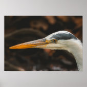 Poster Minimalist Grey Heron Profile Fine Art Print (Devant)