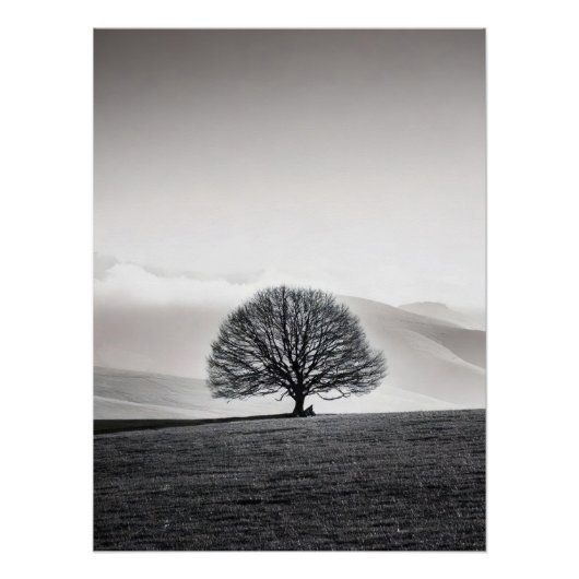 Poster Minimalist Solitary Tree Landscape | Black & White (Devant)