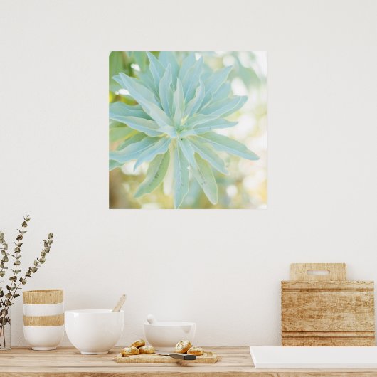 Poster Mint Vert Succulent Cactus Fleur Nature Art Imprim (Cuisine)