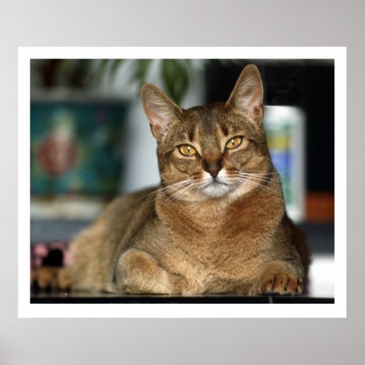 Poster Minu - Minu (Devant)