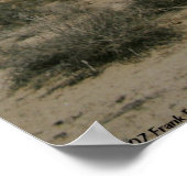 Poster Minuit dans le Mojave (Coin)