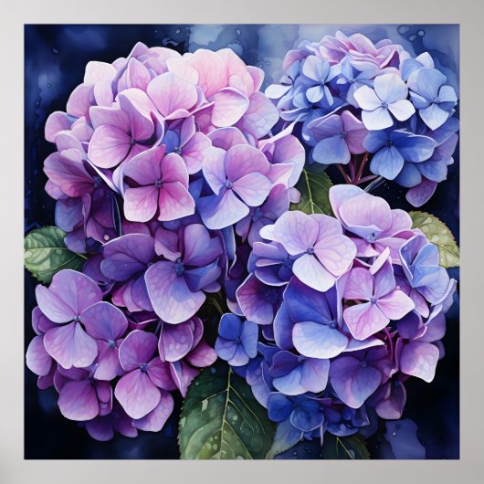 Poster Minuit Jardin Violet Hydrangea Aquarelle (Devant)