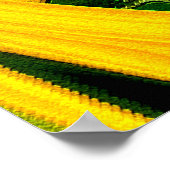 Poster Minuit rêve estival.... (Coin)