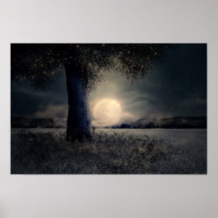 Poster Minuit sous l'arbre