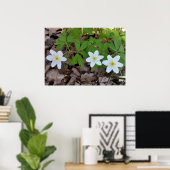 Poster minuscule fleurs blanches (Bureau à domicile)