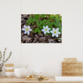 Poster minuscule fleurs blanches (Cuisine)