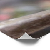 Poster minuscules bourgeons rouges (Coin)