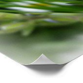 Poster minuscules fleurs bleues (Coin)