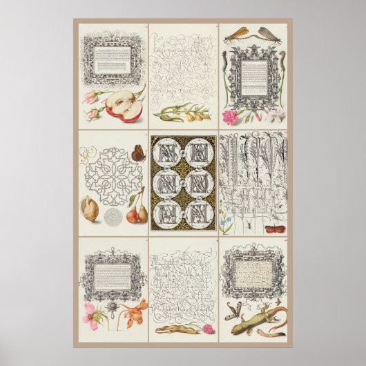 Poster Mira Calligraphiae Monumenta 003 (Devant)