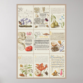 Poster Mira Calligraphiae Monumenta 005